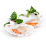Scallop Halfshell with Roe