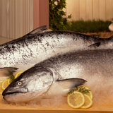 Whole Norwegian Salmon